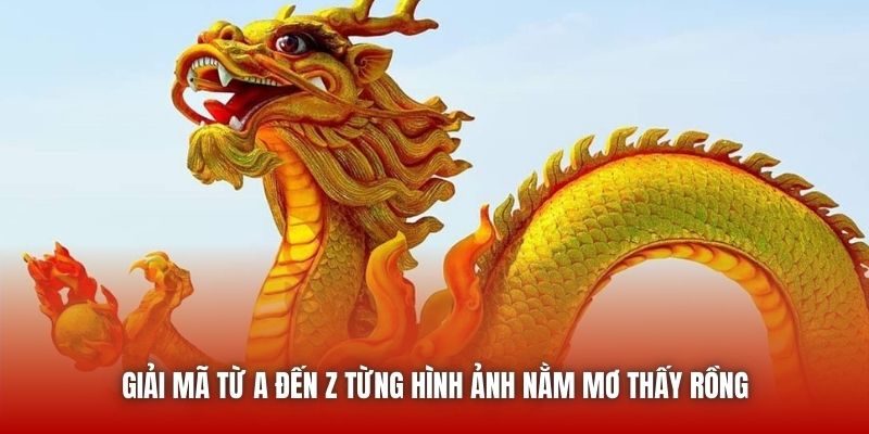 Giải mã từ A đến Z từng hình ảnh nằm mơ thấy rồng