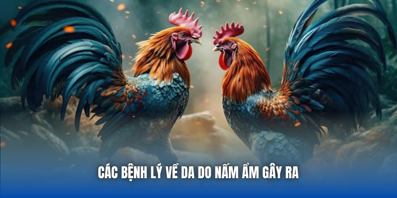 Các bệnh lý về da do nấm ẩm gây ra 