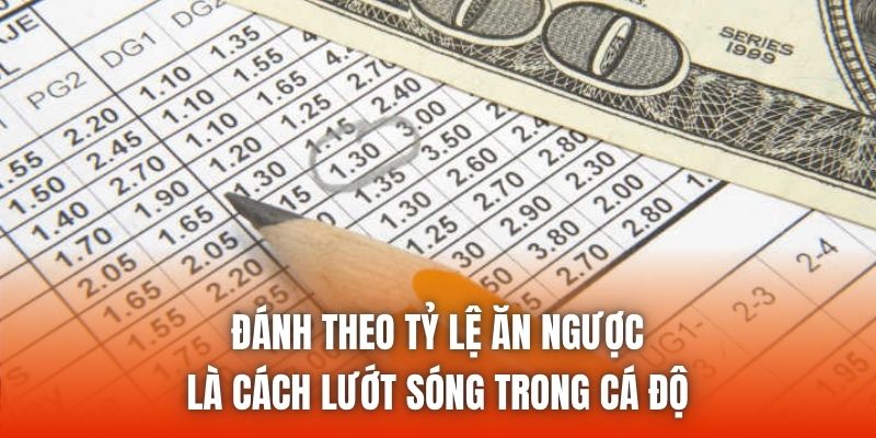 Đánh theo tỷ lệ ăn ngược là cách lướt sóng trong cá độ